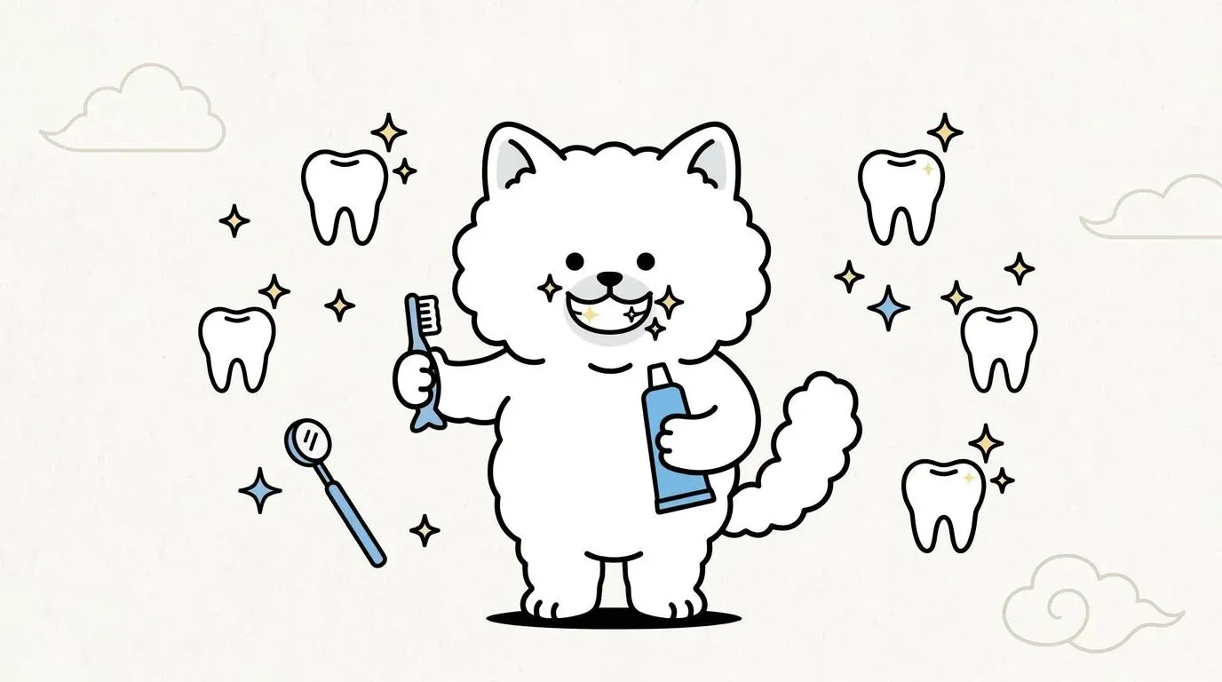 cat dental health