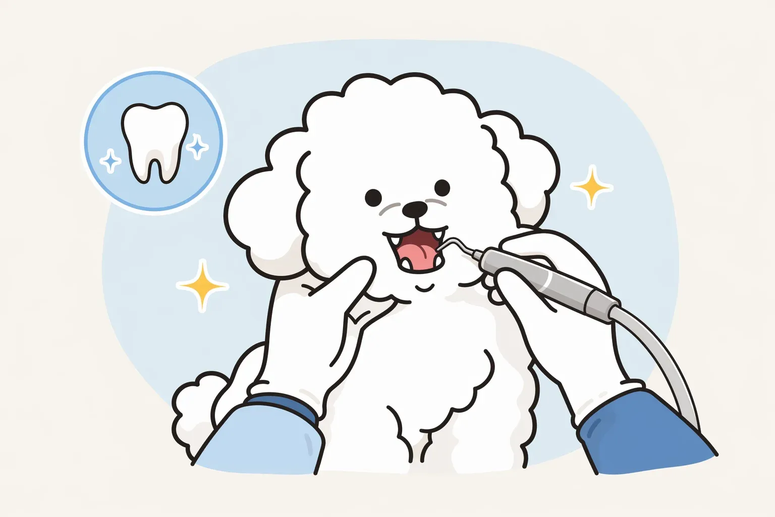 dog dental cleaning