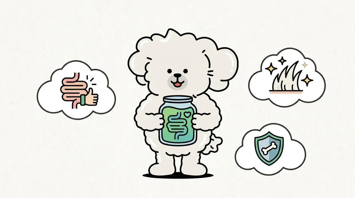 강아지 유산균 효과