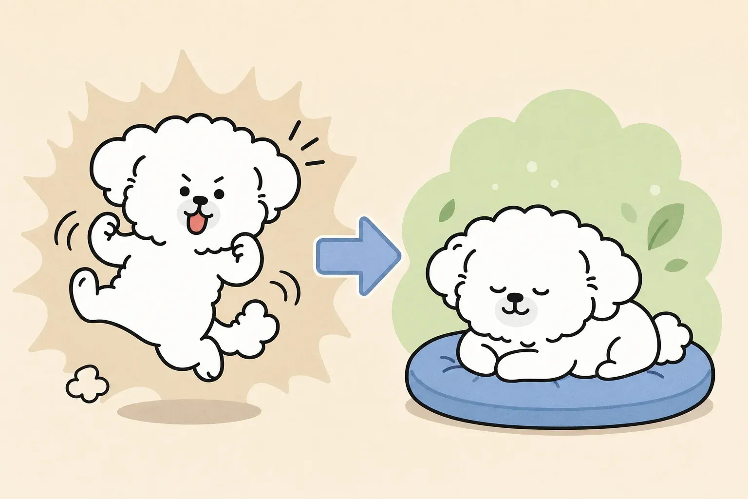 how to calm a hyperactive dog