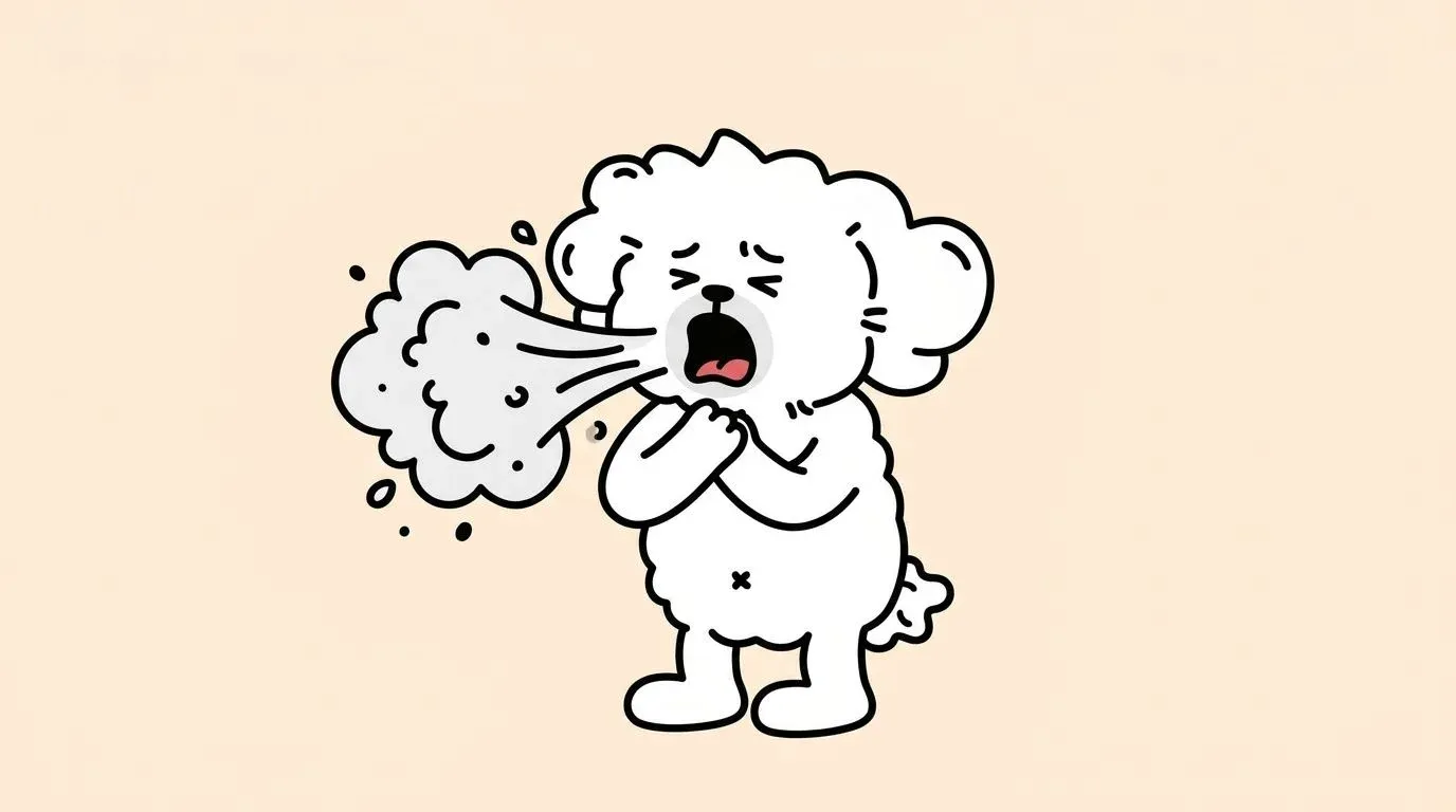 강아지 켄넬코프