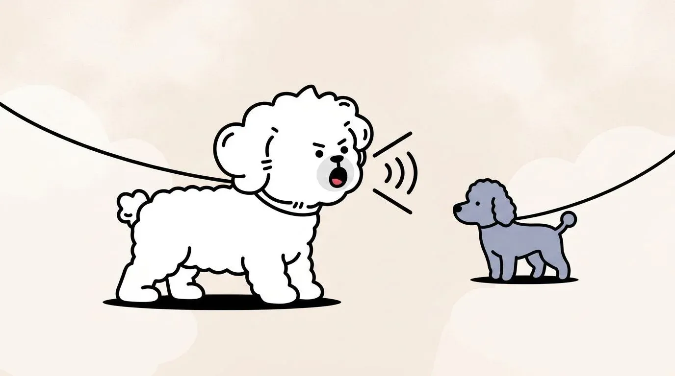 dog leash reactivity training